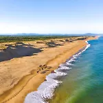 Dune 1- Hossegor - *