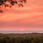 Dune 1- Hossegor -