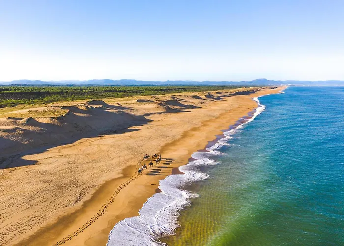 Dune 1- Hossegor - *